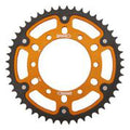 1681-5c950bb1193b4.jpg