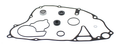 3a57-60abca12d529e.png