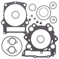 6fb8-61e203ca0f668.jpg