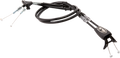 9165-6813b9d806cbd.png