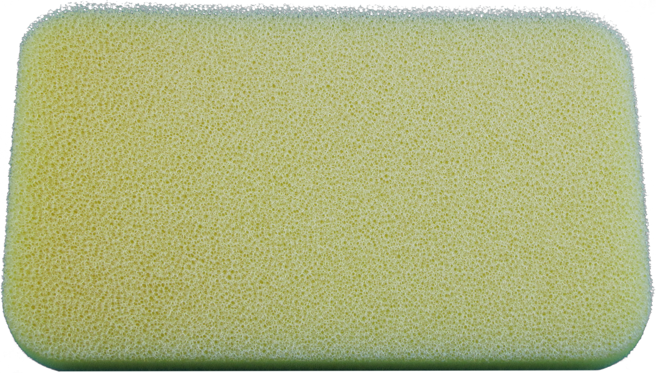 cf87-679a3ed940999.png