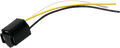 dead-60b6806e883d4.png